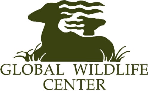 Wildlife of the World: Global Wildlife Tour & Safari