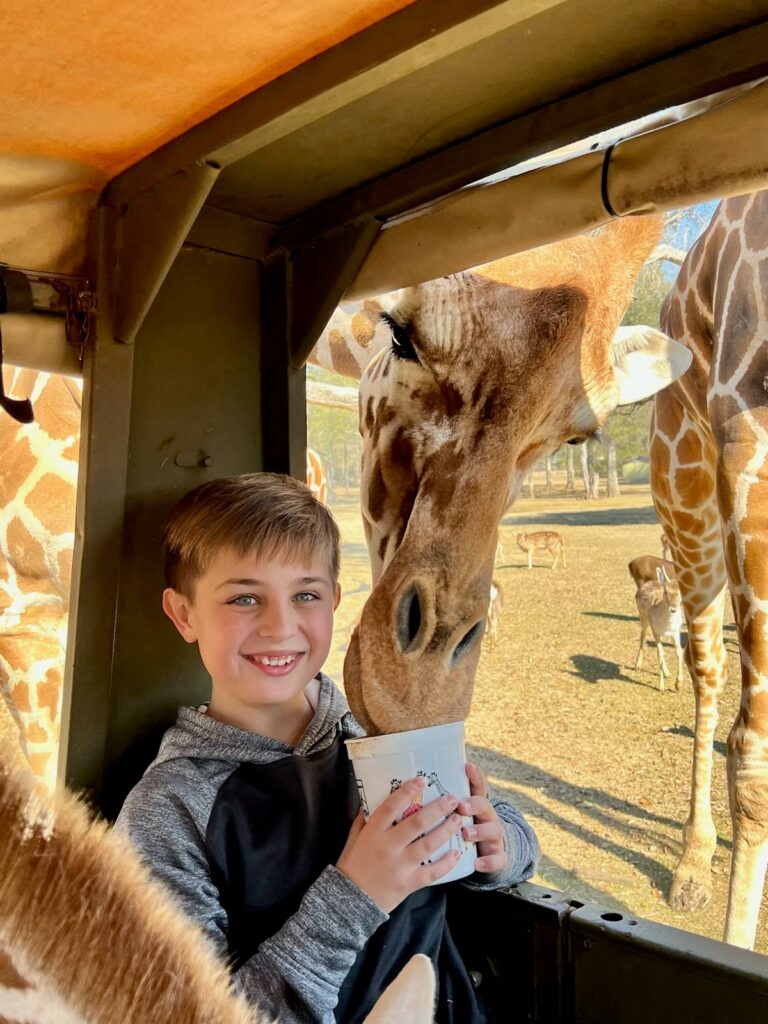 Getting up close and personal to giraffes at Global Wildlife Center.