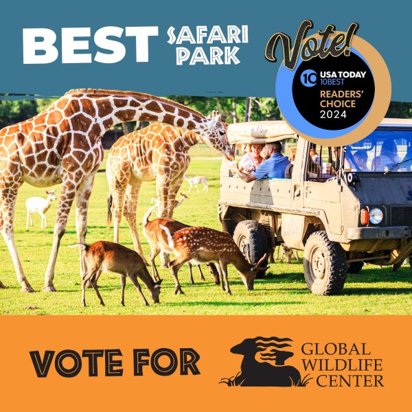 Global Wildlife - USA Today - Nomination Update 1